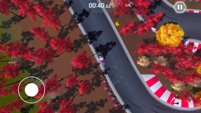 Wacky Drivers screenshot 3