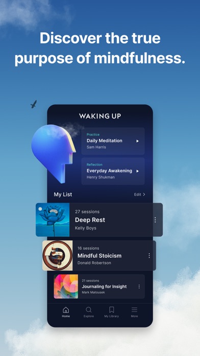 Waking Up: Meditation & Wisdom screenshot 1