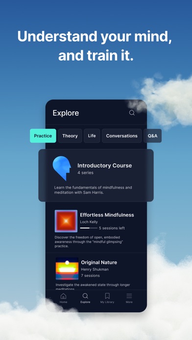 Waking Up: Meditation & Wisdom screenshot 6