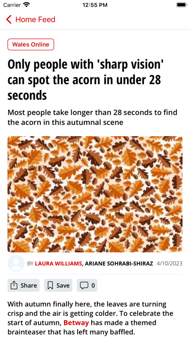 Wales Online screenshot 1