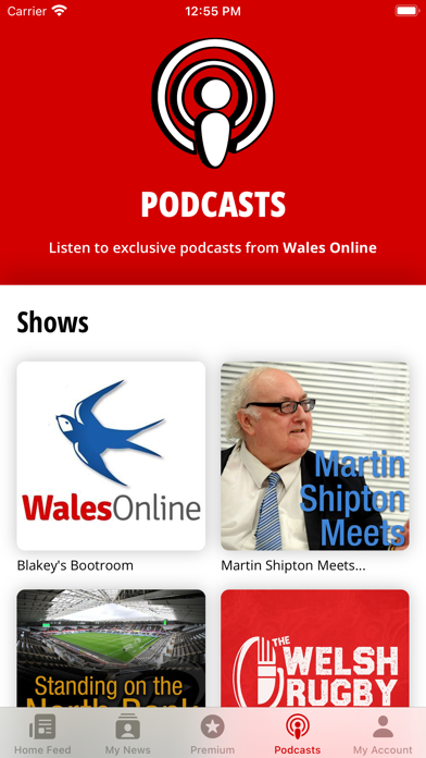 Wales Online screenshot 2