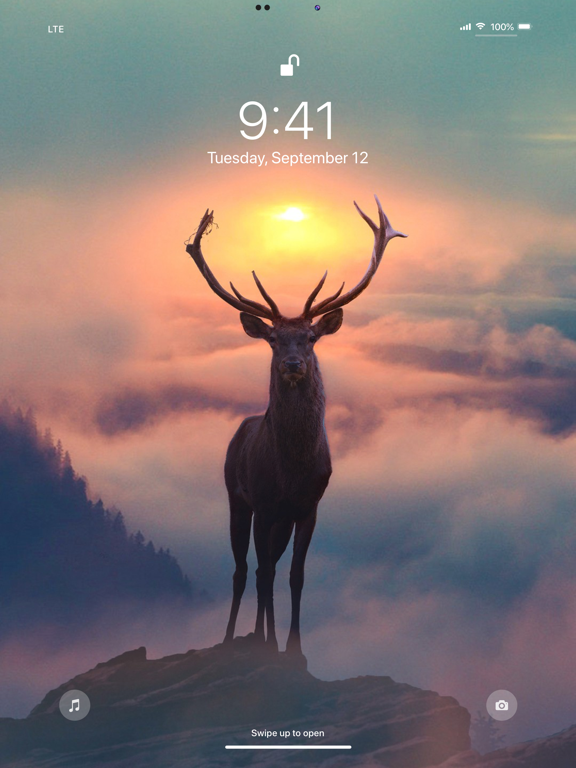 Wallpaper App for iPhone screenshot 10