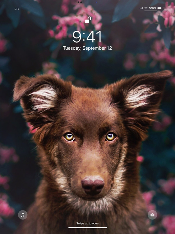 Wallpaper App for iPhone screenshot 8
