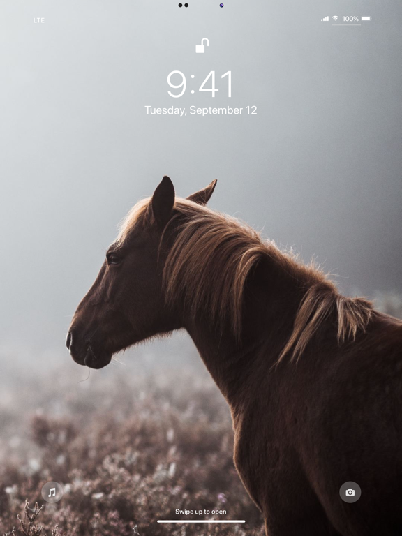 Wallpaper App for iPhone screenshot 5
