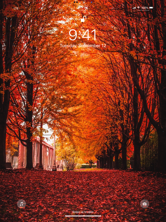 Wallpaper App for iPhone screenshot 3