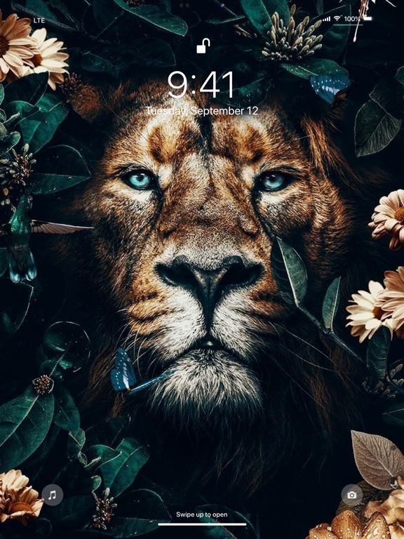 Wallpaper App for iPhone screenshot 1