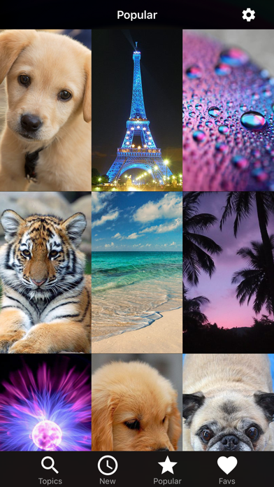 Wallpapers HD for iPhone! screenshot 4