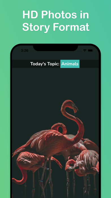 Wallpapers & Widgets,Moving 4K screenshot 2