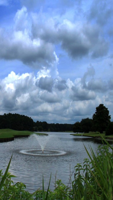 Walnut Creek CC screenshot 3