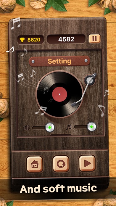 Walnut Wood Block Puzzle screenshot 2
