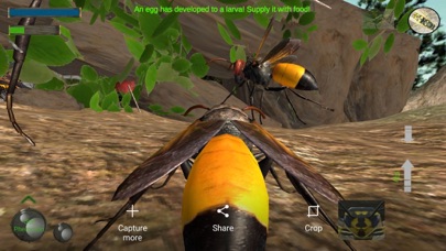 Wasp Nest Simulation Full screenshot 1