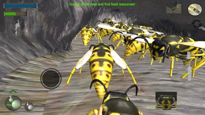Wasp Nest Simulation Full screenshot 5