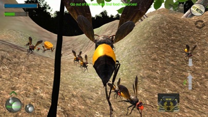 Wasp Nest Simulation Full screenshot 4