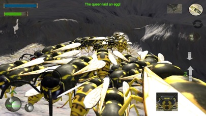 Wasp Nest Simulation Full screenshot 2