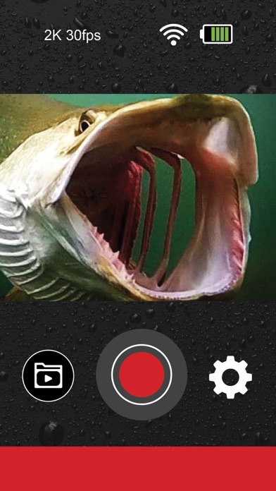 Water Wolf Underwater Camera screenshot 2