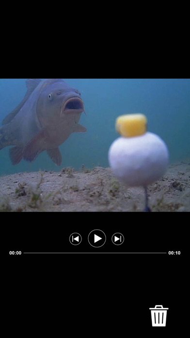 Water Wolf Underwater Camera screenshot 1