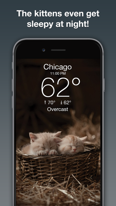 Weather Kitty: Weather + Radar screenshot 2