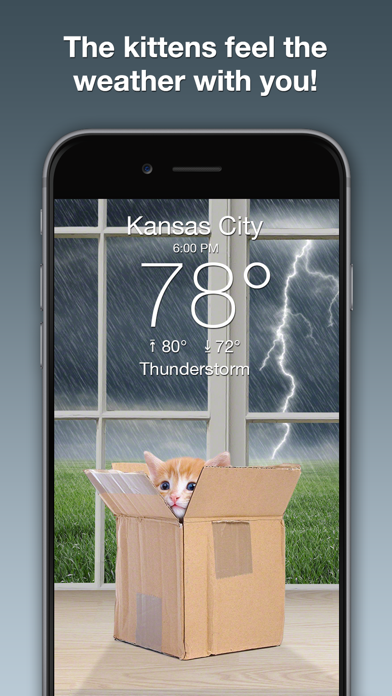 Weather Kitty: Weather + Radar screenshot 4