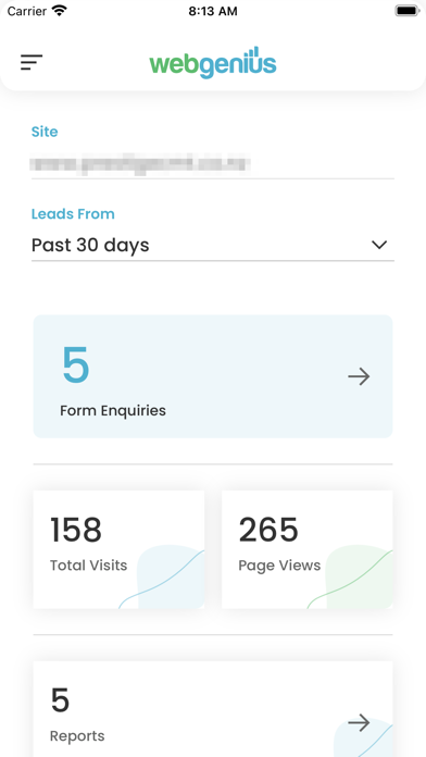 Web Genius screenshot 3