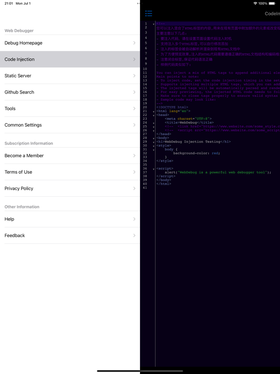 WebDebug - Web debugging tool screenshot 7