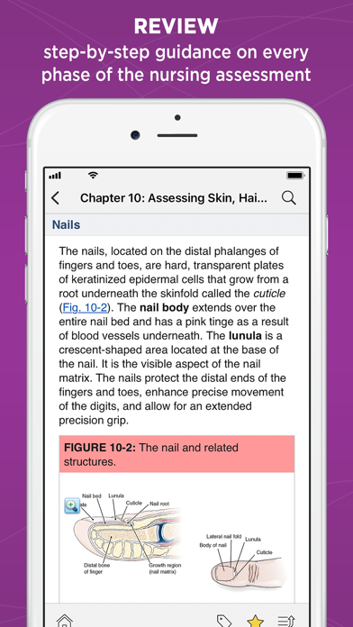Weber: Nurse Health Assessment screenshot 5