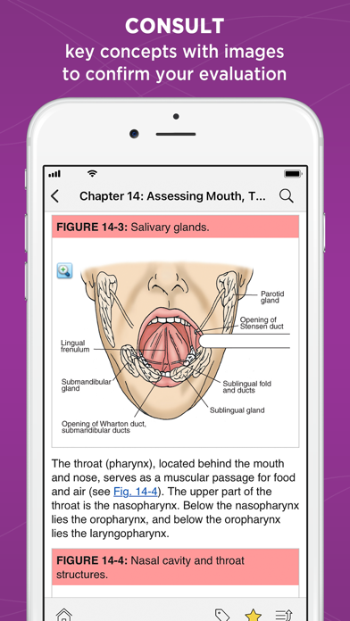 Weber: Nurse Health Assessment screenshot 4