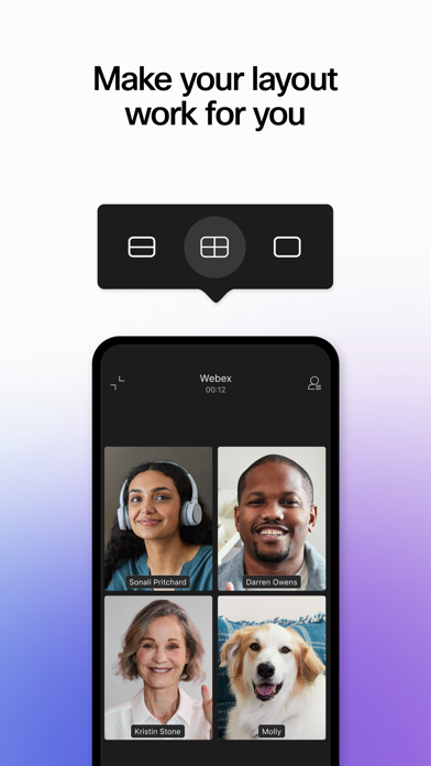 Webex screenshot 2