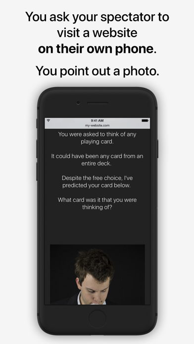 WebFX screenshot 3