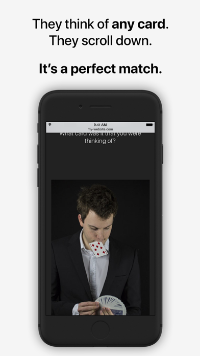 WebFX screenshot 2