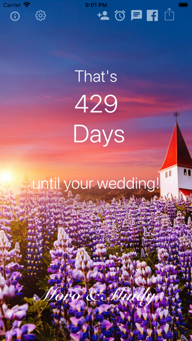 Wedding Countdown Widget screenshot 4