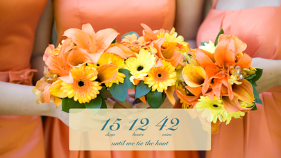 Wedding Countdown screenshot 2