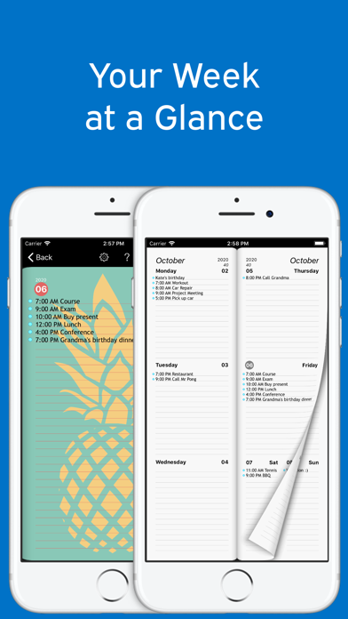 Week Agenda Ultimate screenshot 3