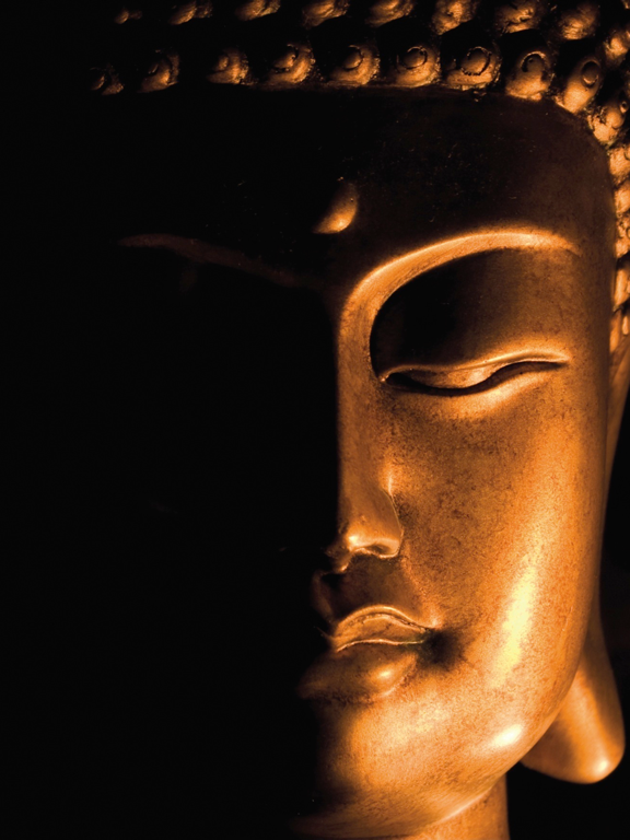 Wei Wu Wei Ching screenshot 10