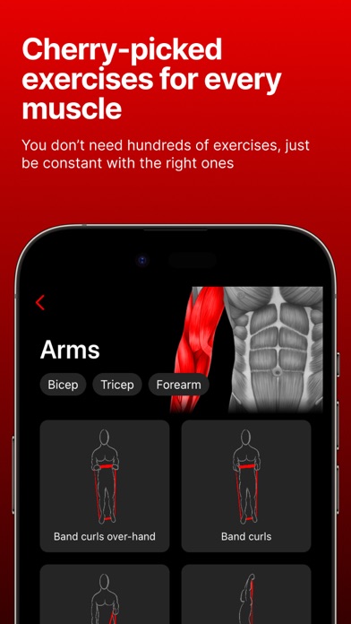 Weller: Gain Muscle with Bands screenshot 4