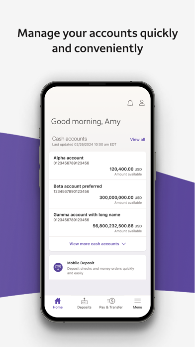 Wells Fargo Vantage® screenshot 3