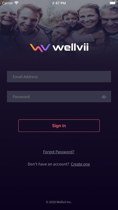 Wellvii screenshot 2