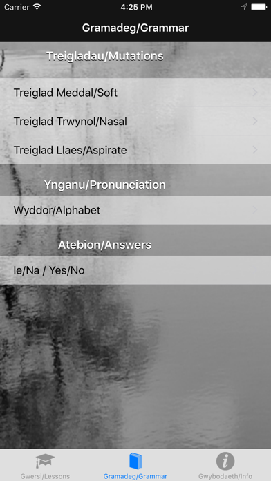 Welsh for Beginners screenshot 4