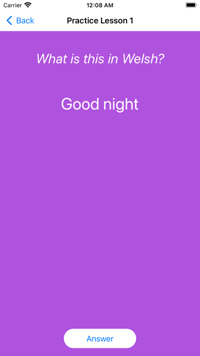 Welsh Lessons screenshot 3