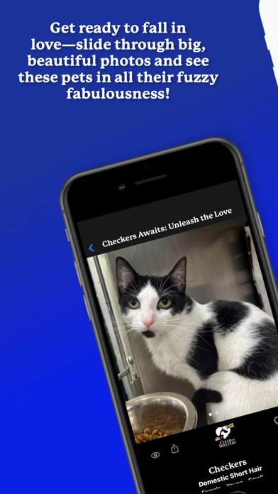 WeRescue: Adopt a Pet Search screenshot 4