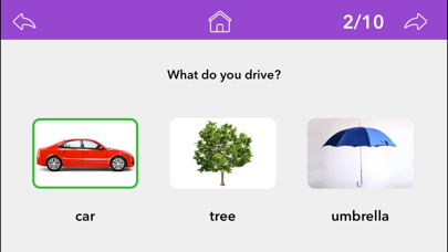 Wh Questions by Teach Speech screenshot 4