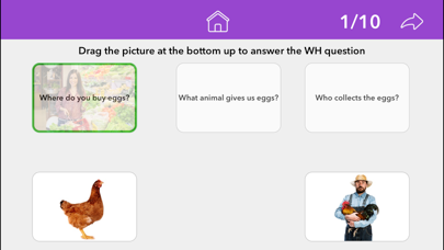 Wh Questions by Teach Speech screenshot 2