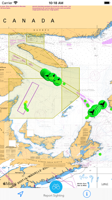 Whale Alert screenshot 5