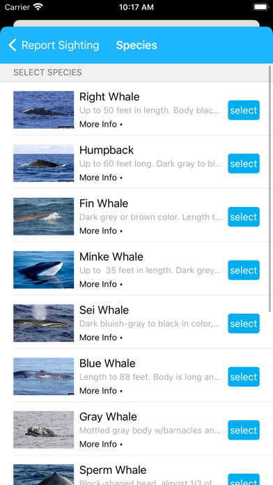 Whale Alert screenshot 3