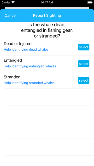 Whale Alert screenshot 4