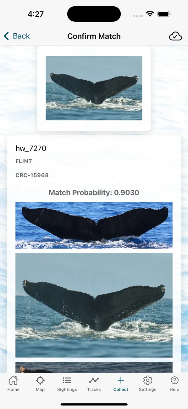 Whale and Dolphin Tracker screenshot 2