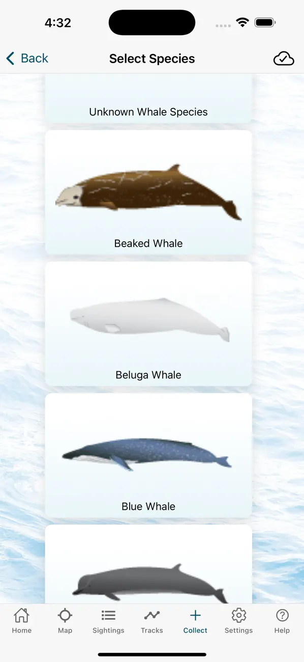 Whale and Dolphin Tracker screenshot 3