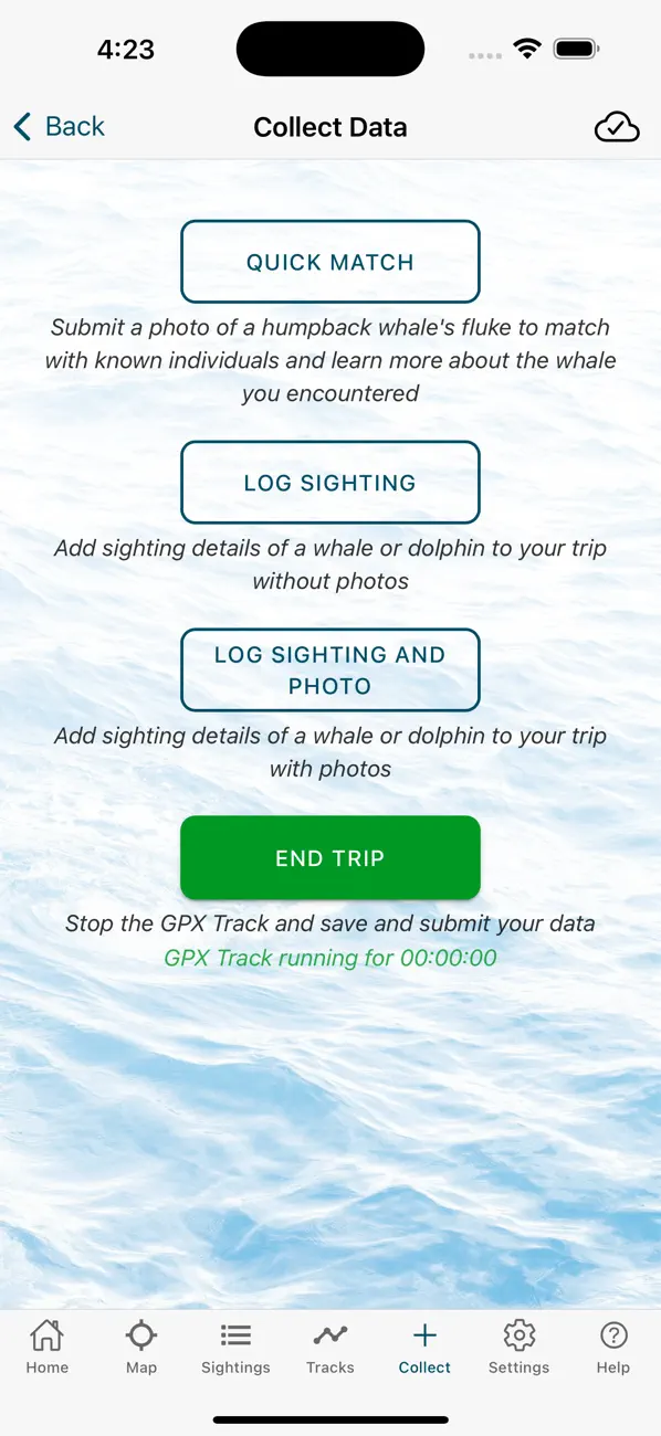 Whale and Dolphin Tracker screenshot 4