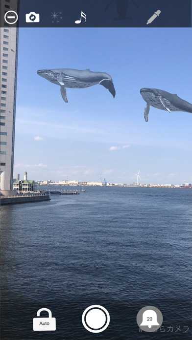 Whale Camera screenshot 4