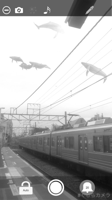 Whale Camera screenshot 1