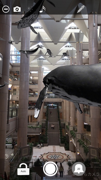 Whale Camera screenshot 2